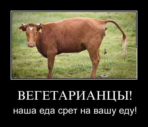 О веганах