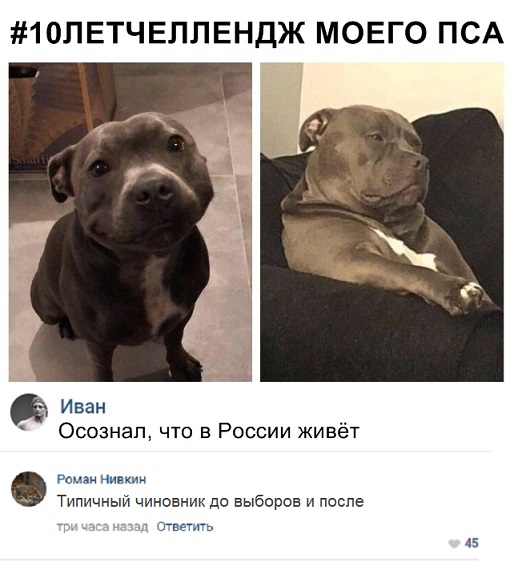 Прикольные комментарии и высказывания из Сети 23. 01.