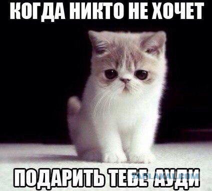 В ресторан выведешь – заказывают столько, словно год не ели