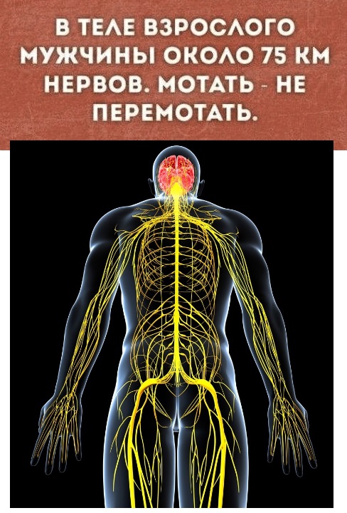 Анекдоты, истории и картинки с надписями