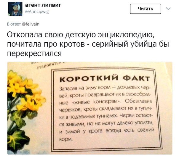 Завелась семья кротов!