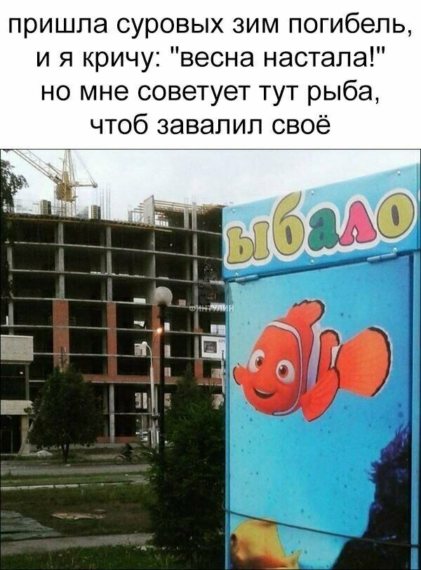 Вижу Рифмы III