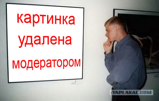 Фотожаба: Молодой ценитель