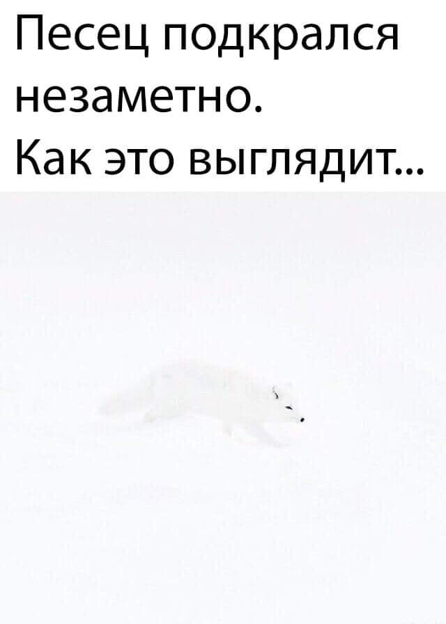 Бредзона 03.07.20