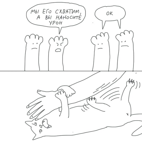 Смешные коты