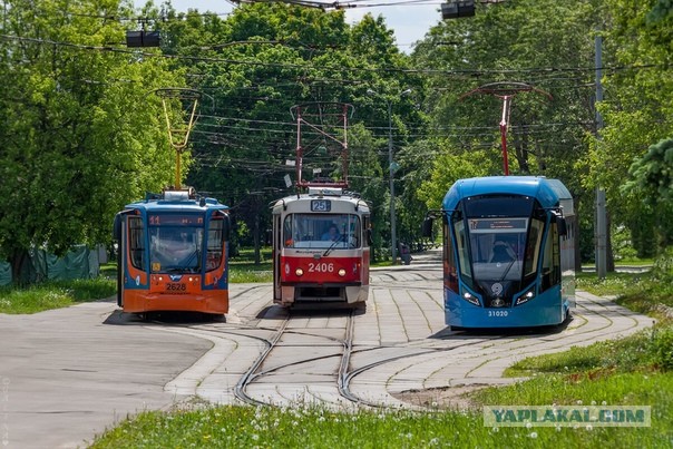 В Москве прекратилось движение троллейбусов. Останется только один троллейбусный маршрут с ретротехникой