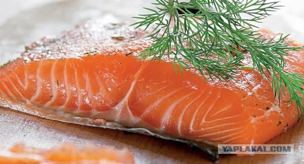 Морепродукты к НГ на Камчатке на 5 тыщ