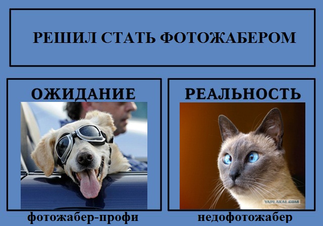 Фотожаба: Ожидание / Реальность