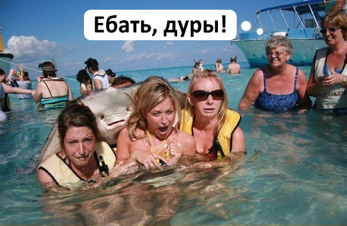 Изобразили