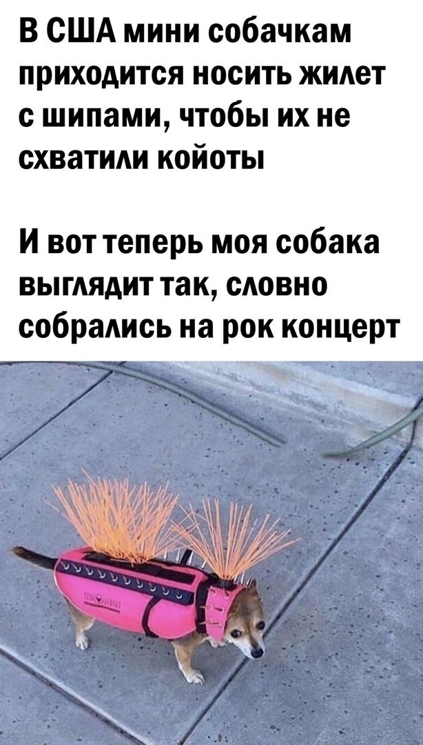 Так себе картинки 06.03.21