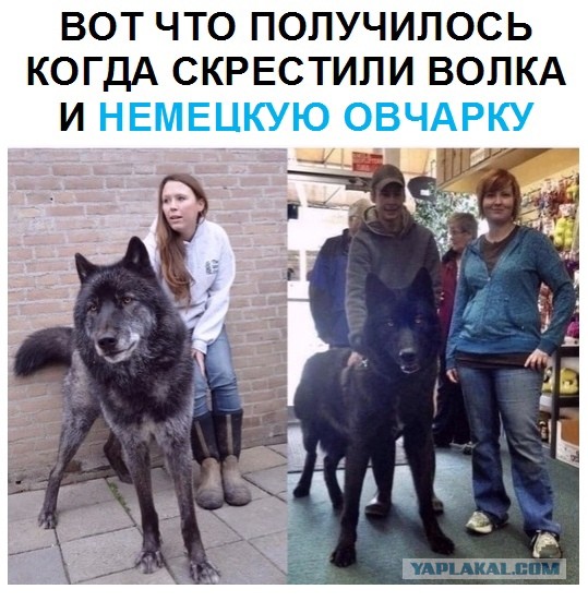 Так себе картинки 07.08.21