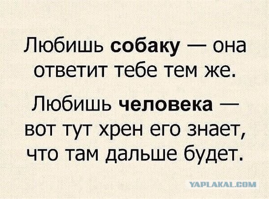 Калейдоскоп картинок