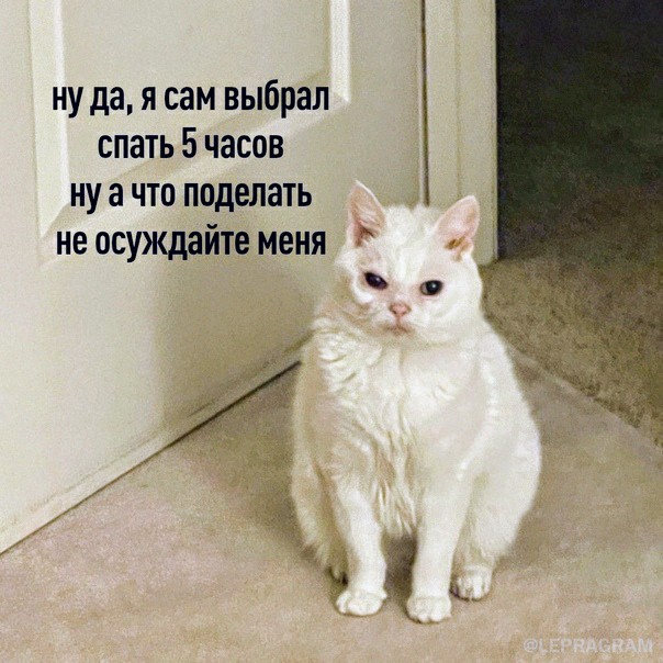 Картинки и мемы для настроения 13.09.2021