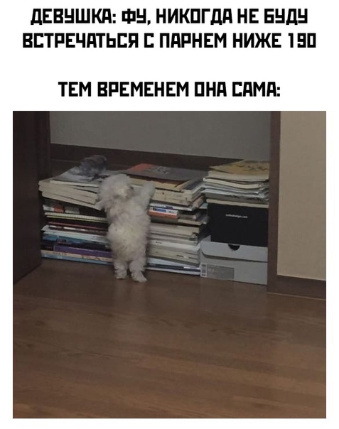 Картинки и мемы для настроения 21.09.2021