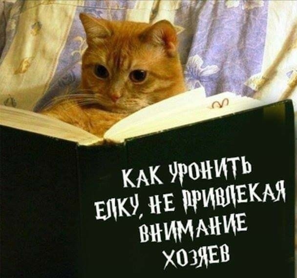 Чуток картинок 16.12.21