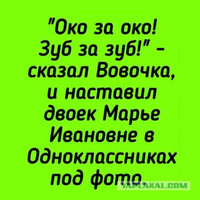 Так себе картинки 07.02.22