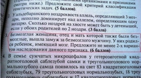 Камень не выбрасывать