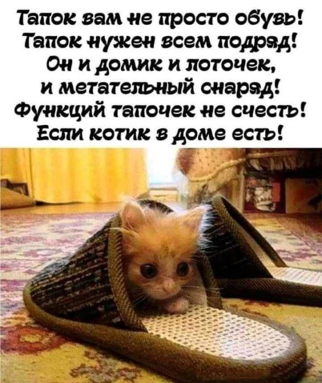Картинки и мемы для настроения - 29
