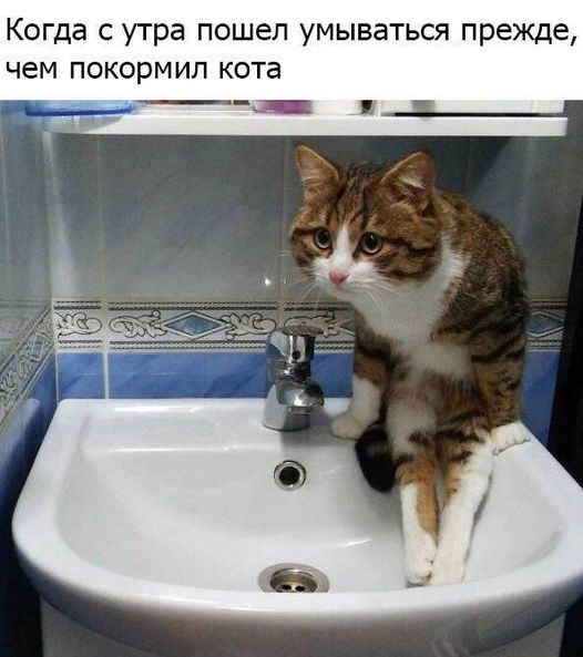 Картинки и мемы для настроения - 17