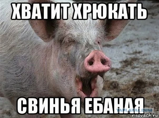 Конвертация гривны в евро прекратится в Германии 30 октября