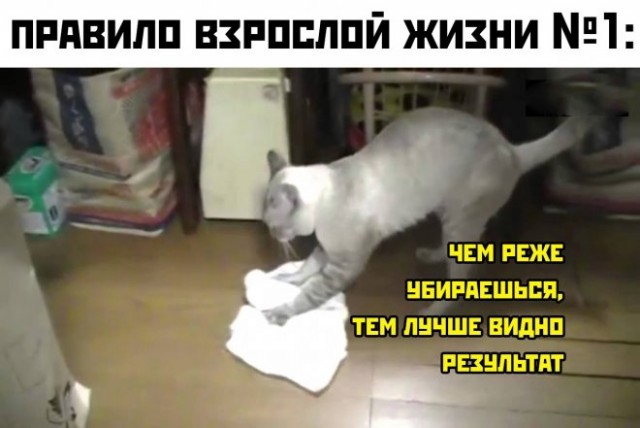 Картинки и мемы. Выходные близко...