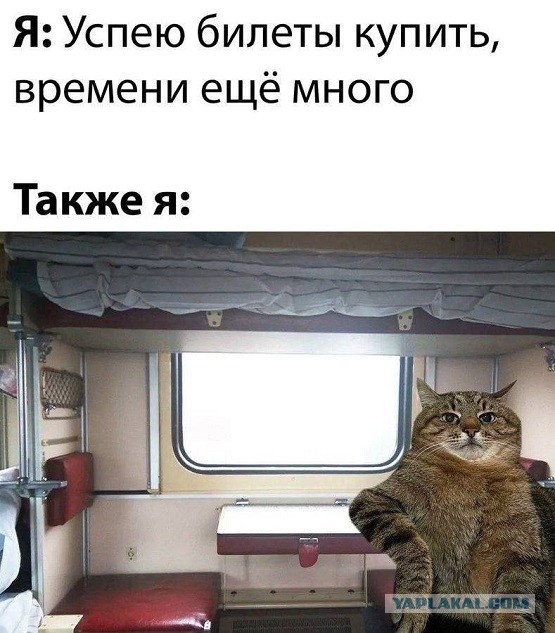 Подборка картинок 08.05.23
