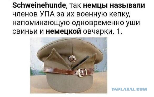 Подоляк выдвинул требования Украины для достижения мира