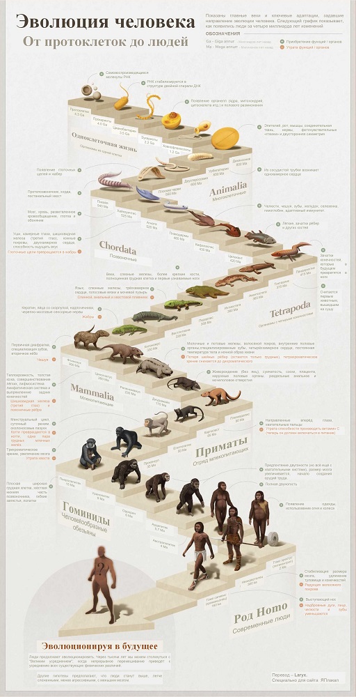 Как появилась Вселенная и жизнь на Земле?
