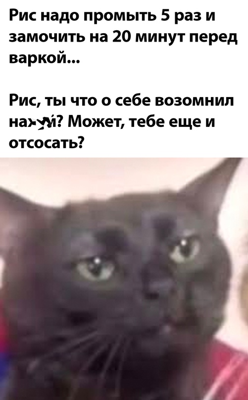 Весёлый полтишок 13.02.24