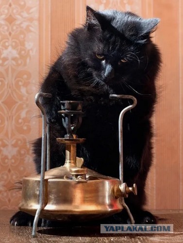 Починяю примуса