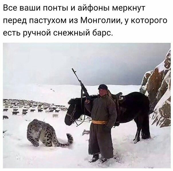 Так себе картинки 27.03.24