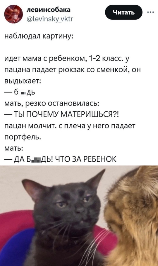 Весёлый полтишок 06.12.24