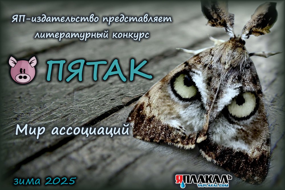 Пятак25