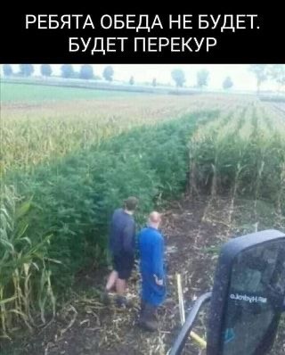 Картинки для деградации 45 (разной степени свежести)