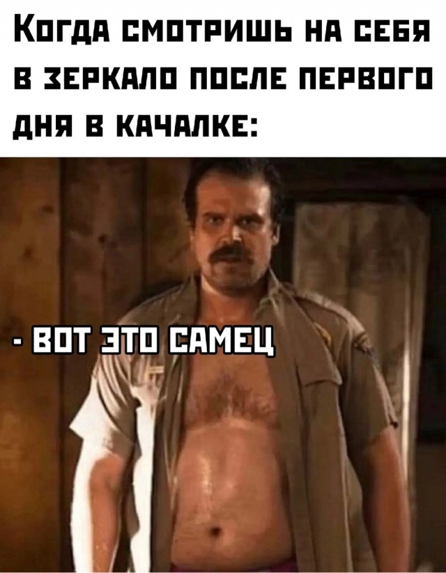 Картинки для деградации 61 (разной степени свежести)