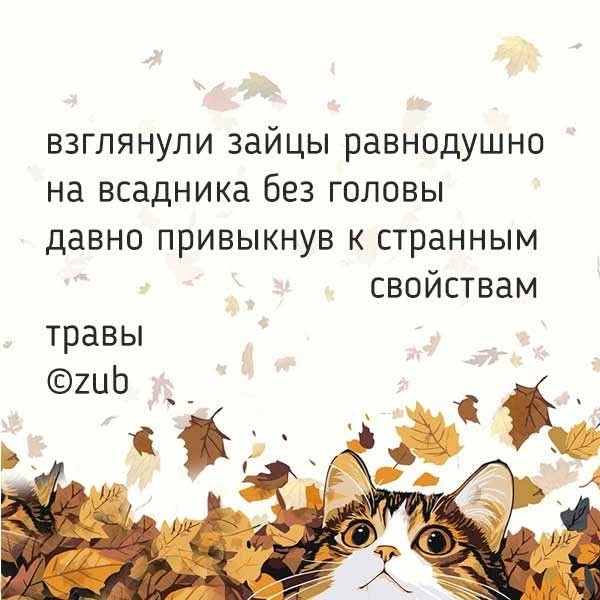 Маленькая пятница 19.11