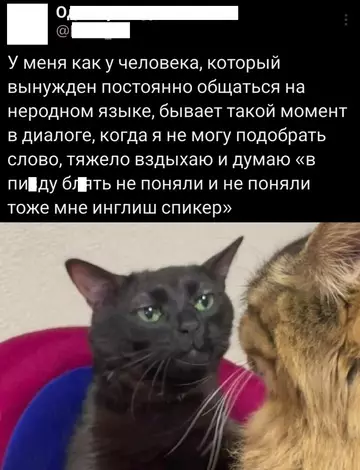 Картиночки, баянчики 24 февраля