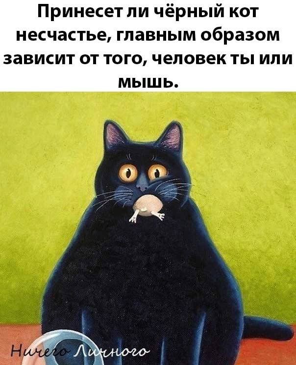 Среды картинки