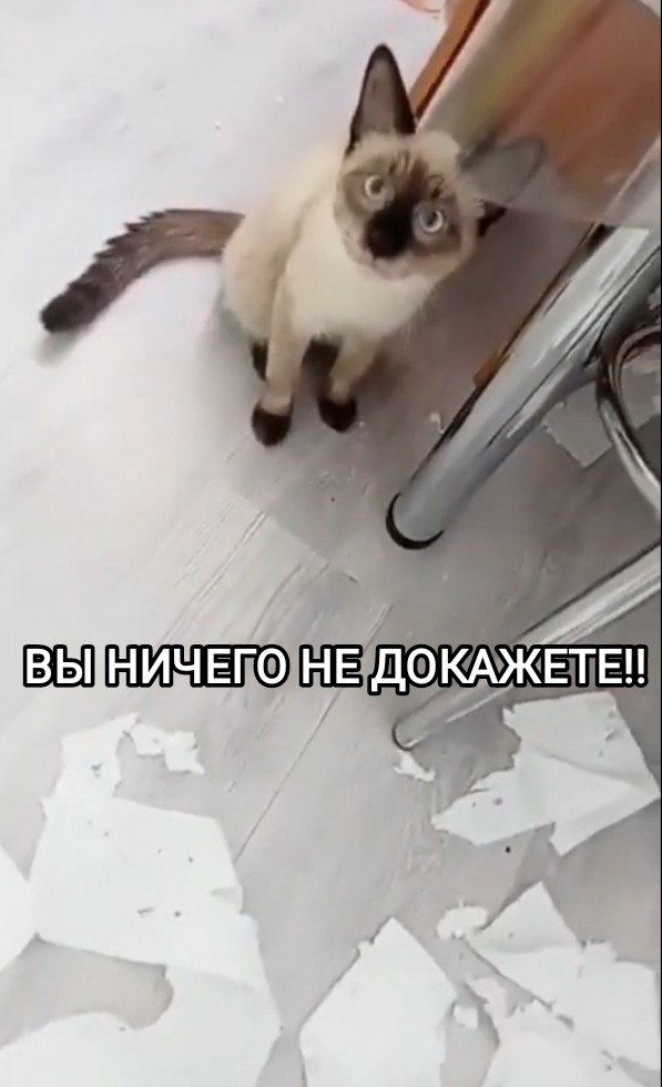 Наташа, я сам не знаю как так вышло.