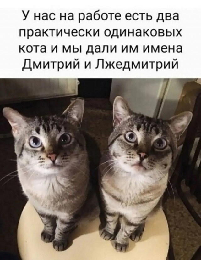 Так себе картинки 24.07.26