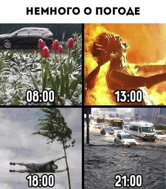Пятничные бояны