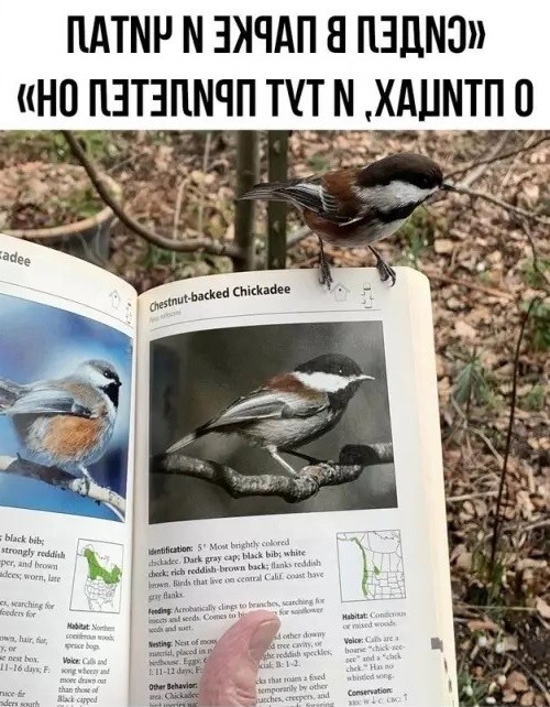 Так себе картинки 10.09.26