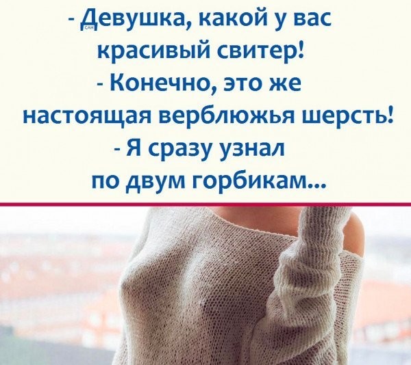 Так себе картинки 22.10.26