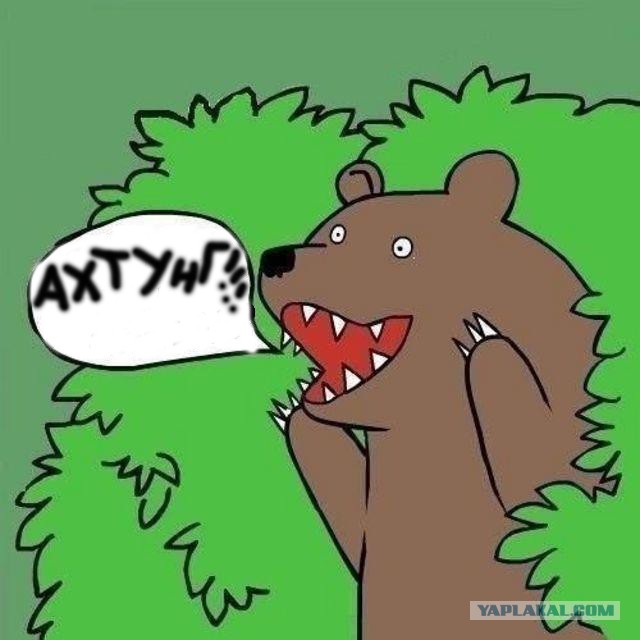 Свадьба в Баку