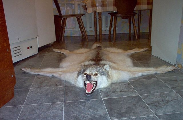 Хрюша и Филя