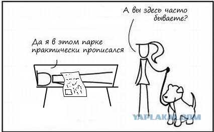 Насколько собакам проще