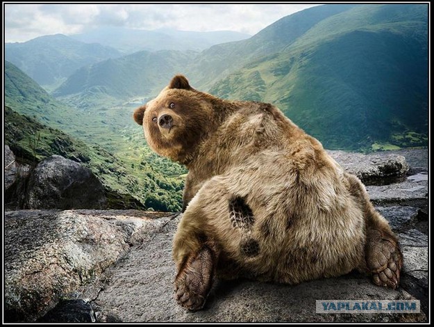 За секунду до..