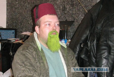 Выращиваем бороду в комнатных условиях