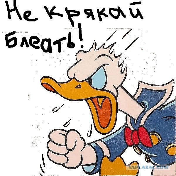 Польша призвала Киев не отступать...