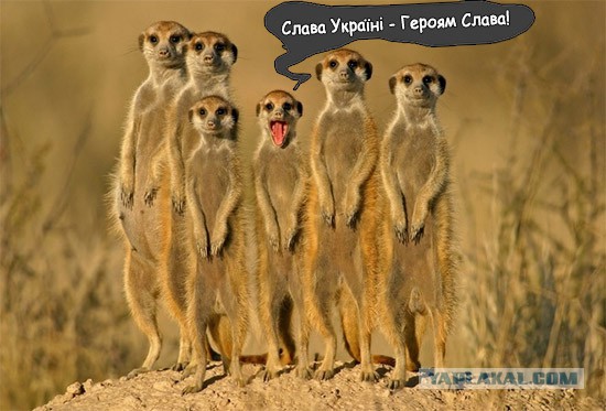 Ещё немного хроники Одессы